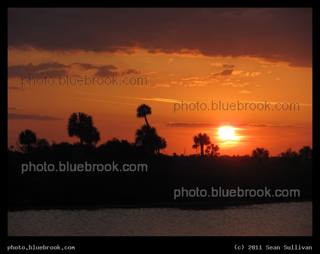 Orange Sky with Palms - Merritt Island National Wildlife Refuge, FL