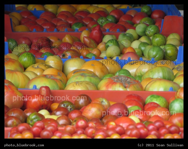 Baskets of Fruit - Brattleboro Farmers Market, West Brattleboro VT