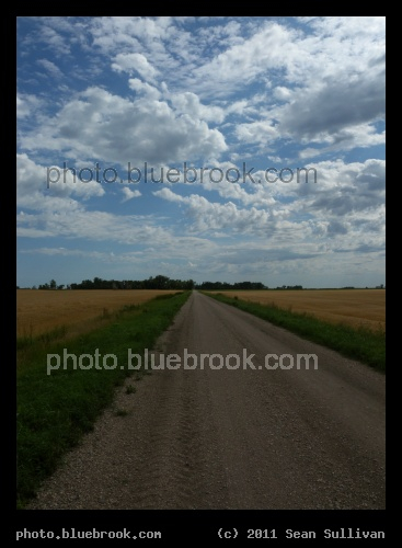 Road and Sky - Fertile, MN