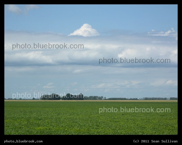 Bands of Sky and Field - Crookston MN