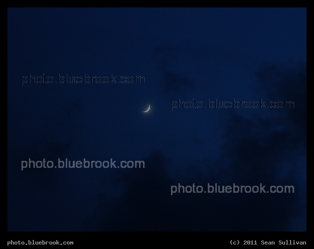 Crescent Moon, Cobalt Sky - The waxing crescent moon in the evening sky, Merritt Island FL