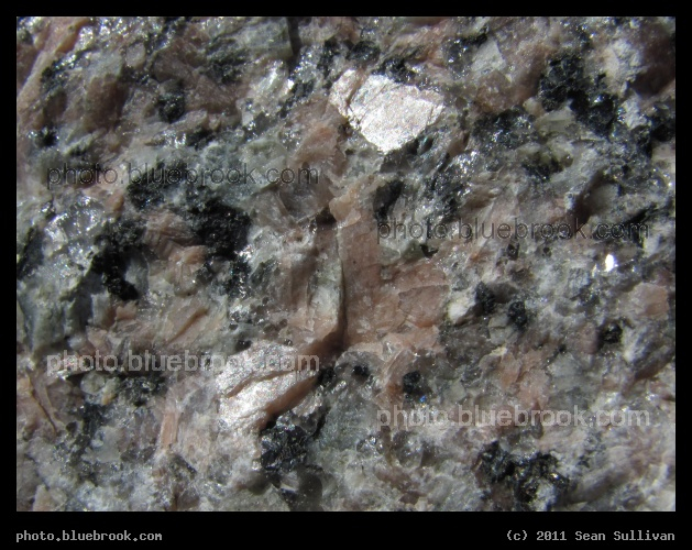 Minnesota Granite - A close-up view of a rock in the dike along the Red Lake River, Crookston MN
