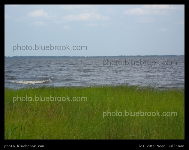 Grass, Water, Sky - Blue Cypress Lake, Vero Beach FL
