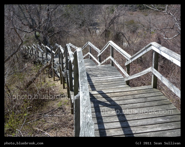 Eastern Shore Stairway - Eastern Shore of Virginia National Wildlife Refuge