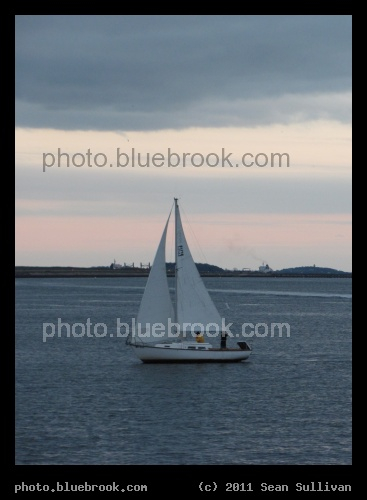Sailboat in Boston Harbor - 