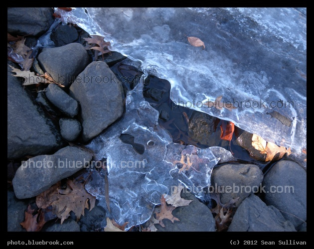 Blue Rocks and Ice Sheet - The edge of a canal at the Esplanade, Boston MA