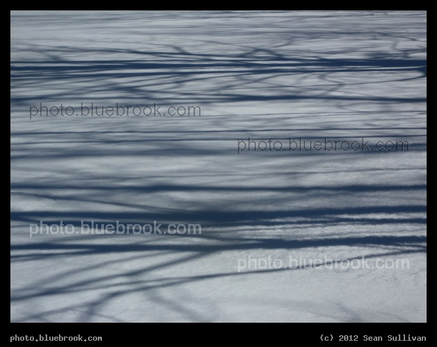 Banded Winter Shadows - Shadows of trees falling across a frozen lake, Bell Pond, Worcester MA