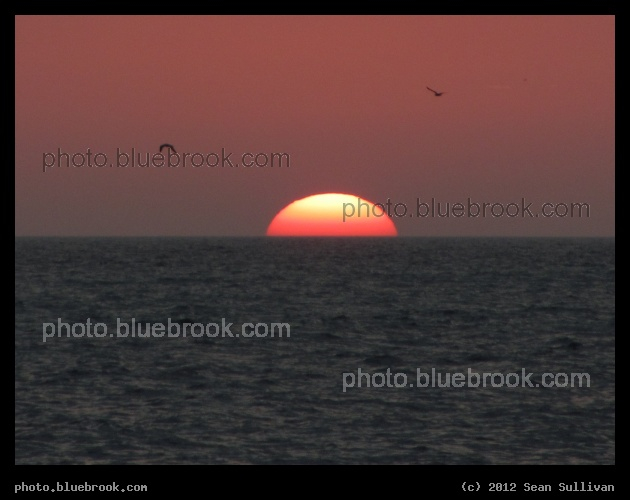 Star on the Horizon - Sunset over the Gulf of Mexico from Sarasota Beach, Sarasota FL