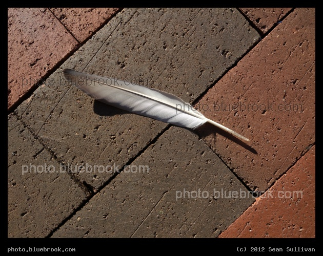 Quill on Brick - Harvard Square, Cambridge MA