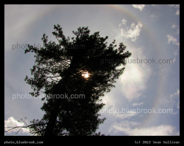 Sunbow and Evergreen - Grafton, MA