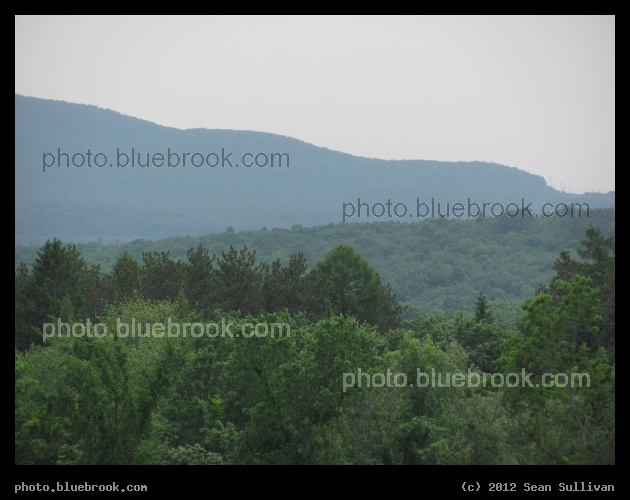 Mountain across Forest - Amherst MA