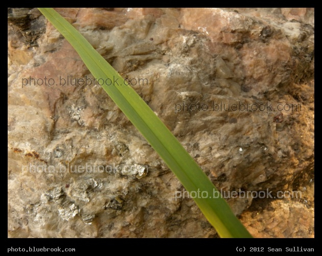 Grass and Granite - Malden MA