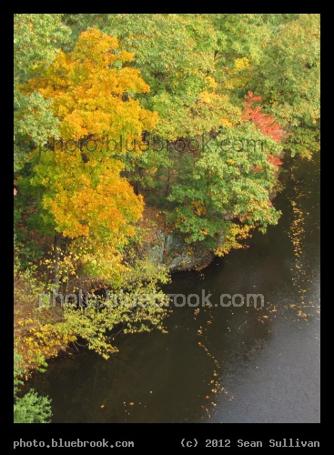 River of Leaves - Charles River from Echo Bridge, Newton MA