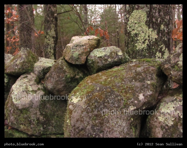 Mossy Boulders - Allenstown, NH