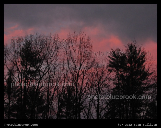 November Neon - At sunset, Allenstown NH