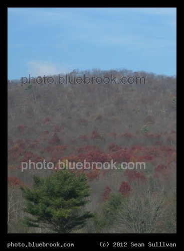 Patchwork of Red - Near Echo Valley, PA