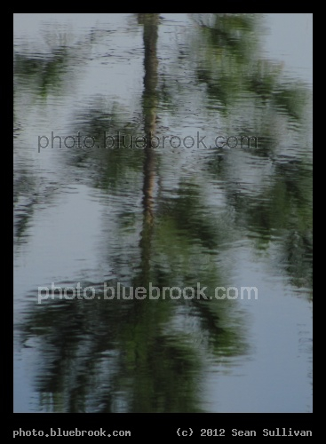 Evergreen Reflection - Titusville, FL