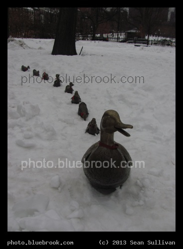 Make Way for Winter Ducklings - The popular sculpture after a blizzard, Public Garden, Boston MA