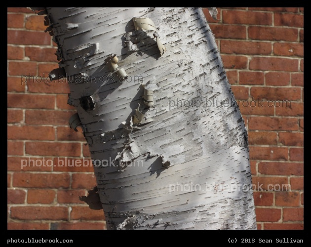 Birch and Brick - Concord NH