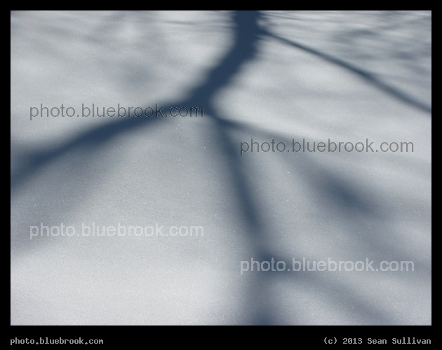 Shadow on Pristine Snow - Grafton MA