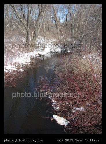 Early Neponset - Neponset River within a few miles of its headwaters, Walpole, MA