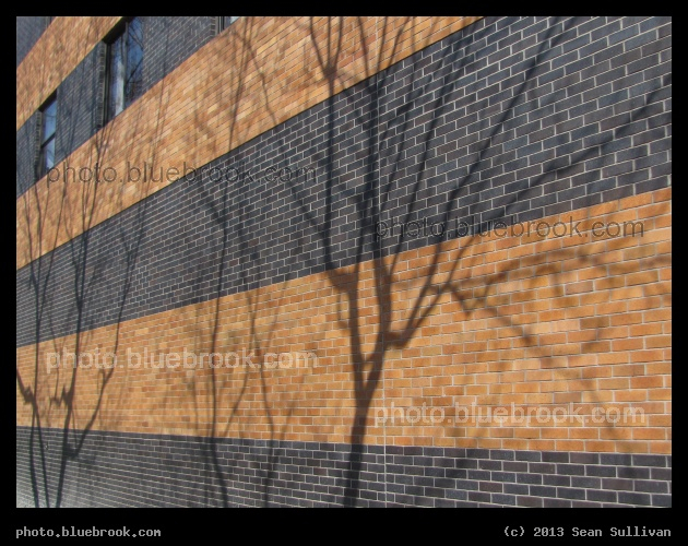 Shadows on Brickwork - Cambridge MA