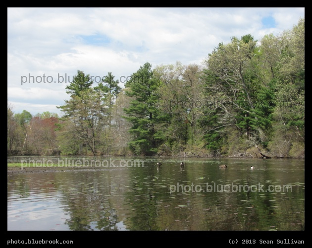 Lake in May - Breakneck Hill Conservation Land, Southborough MA