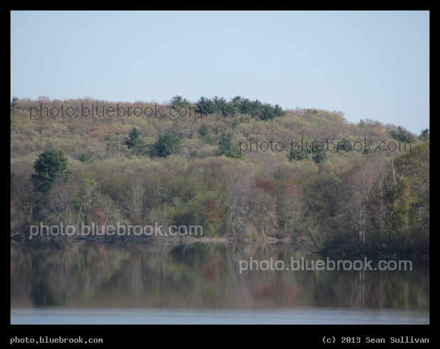 Awakening Hillside - Spring beside the Cambridge Reservoir, Waltham MA