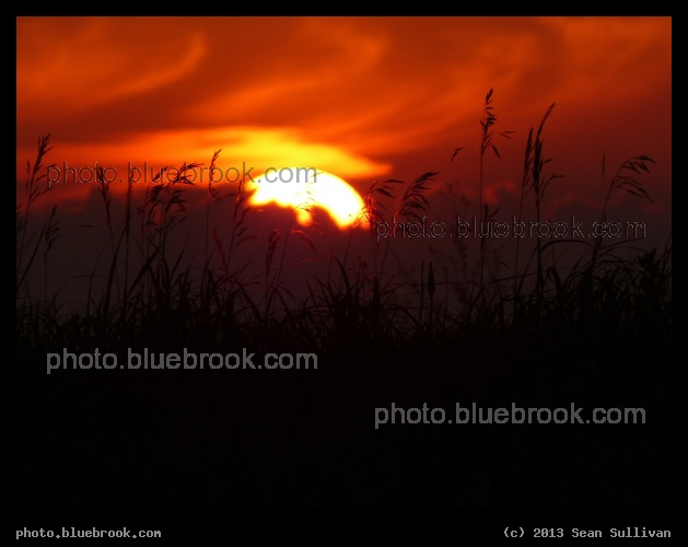 Grasses against the Sunset - Grand Forks, ND