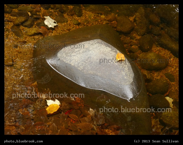 Rock in the Water - Willard Brook, Ashby MA