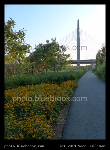 Flowers by the Bridge - The Zakim (I-93) bridge from Paul Revere Park, Charlestown MA