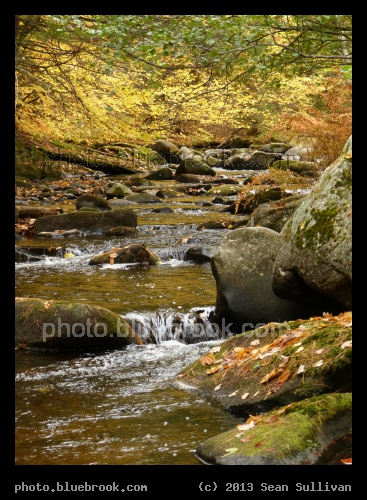 Autumn Stream - Willard Brook, Ashby MA