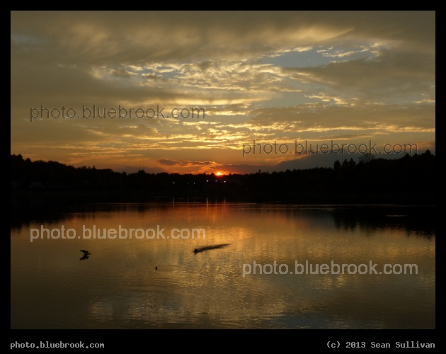 Landing Ducks - Sunset over the Chestnut Hill Reservoir, Boston MA