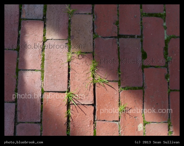 Sunlight on a Brick Walkway - Charlestown, MA