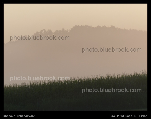 Kentucky Fog - Fog near sunrise in central Kentucky