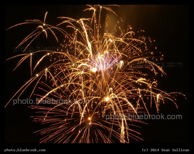 Golden Sparkles - Riverfest 2011 Fireworks at Assembly Square, Somerville MA