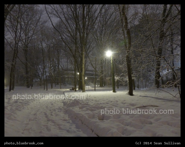 Winter Grounds - Cambridge MA