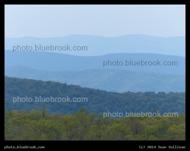 Blue Ridges - From Skyline Drive, Shenandoah National Park, Virginia