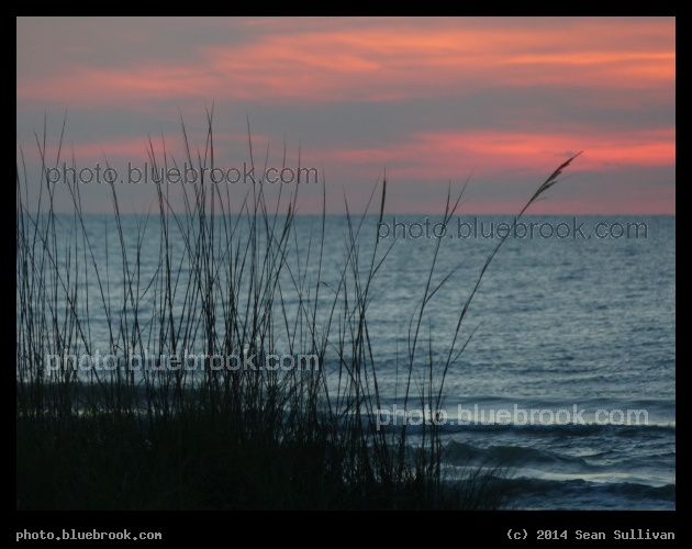Grasses on the Atlantic Shore - Before sunrise at Cocoa Beach, FL