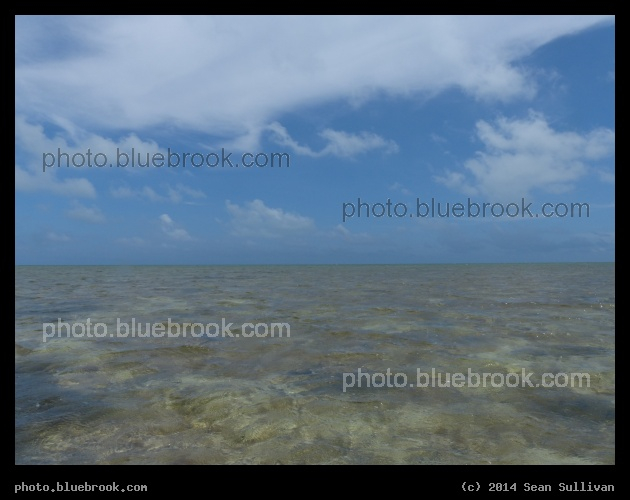 Tropical Ocean - Atlantic Ocean, Islamorada, Florida Keys