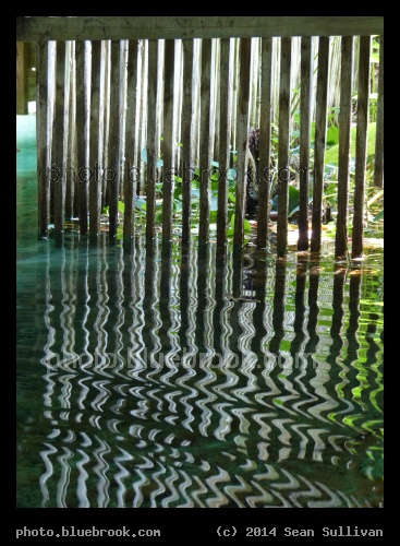 Vertical Poles Reflected - Weeki Wachee State Park, FL