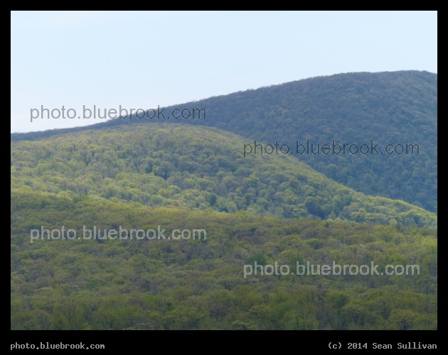 Rolling Hillside - Blue Ridge Mountains from Skyline Drive, Shenandoah National Park