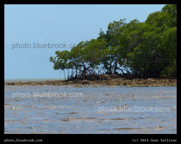 Approaching the Mangroves - Islamorada, Florida Keys