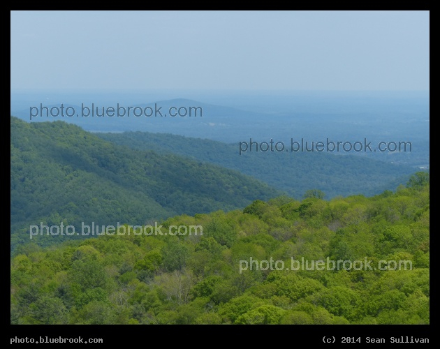 Green in the Appalachians - Blue Ridge Mountains from Skyline Drive, Shenandoah National Park