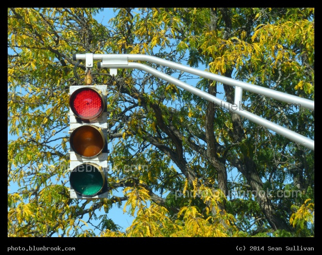 Signals in Autumn - Prospect Street, Cambridge MA