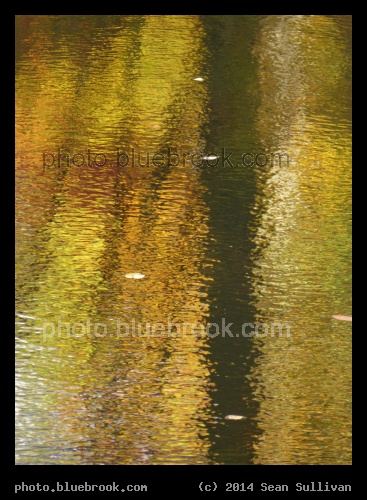 Autumnal Light on Water - Charles River, Hemlock Gorge, Needham MA