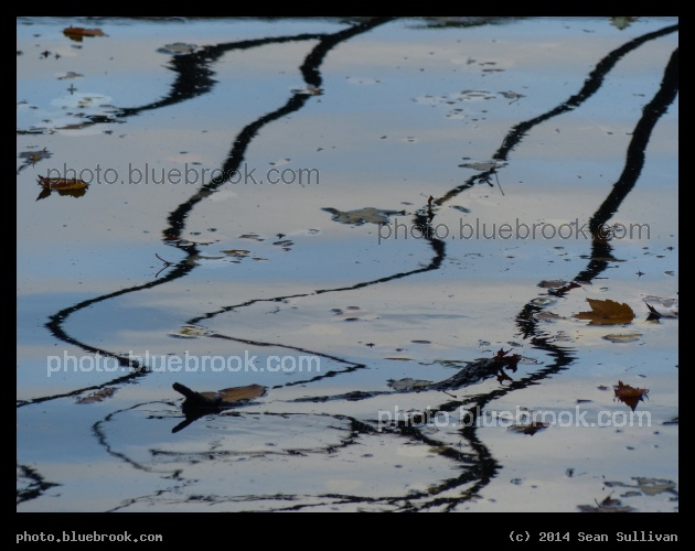 Bending Reflections - Charles River, Hemlock Gorge, Needham MA