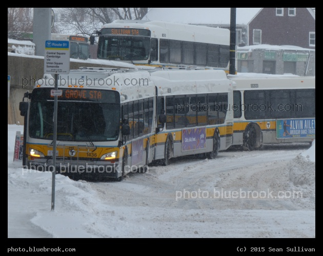 Flock of Busses - Busses running a substitute service while MBTA Orange Line subway service was suspended due to snow, Boston MA