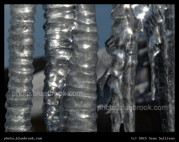 Forest of Icicles - Somerville, MA
