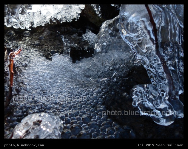 Chilled Bubbles - Stream in the Middlesex Fells Reservation, Melrose MA